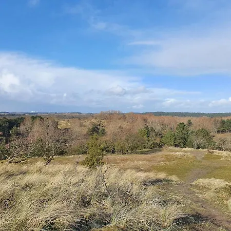 De Schelp 73 The Perfect Place! 잔드보르트