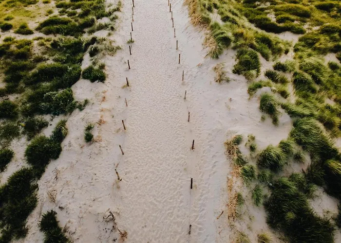 아파트 De Schelp 73 The Perfect Place! 잔드보르트