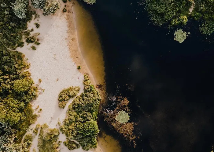 De Schelp 73 The Perfect Place! * 잔드보르트