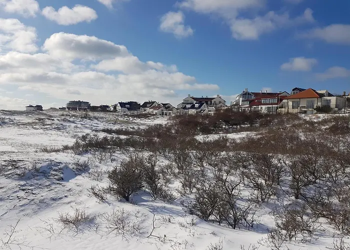 아파트 De Schelp 73 The Perfect Place! 잔드보르트