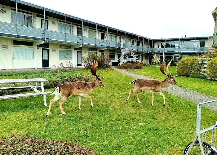 아파트 De Schelp 73 The Perfect Place! *