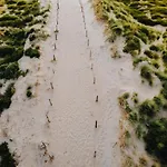 Lejlighed De Schelp 73 The Perfect Place! Zandvoort