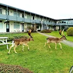 Lejlighed De Schelp 73 The Perfect Place! *