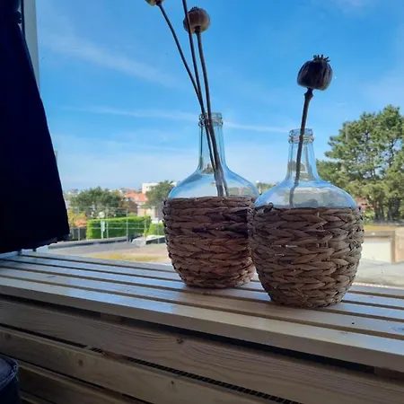 Apartament De Schelp 73 The Perfect Place! *