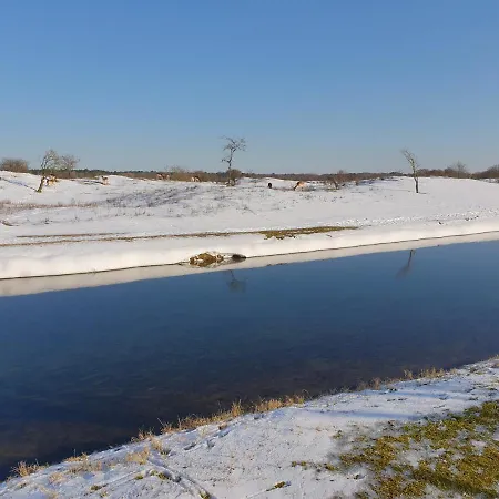 De Schelp 73 The Perfect Place! Διαμέρισμα *