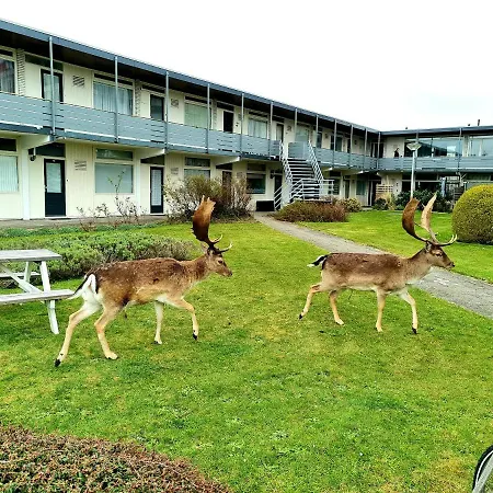 Apartament De Schelp 73 The Perfect Place! *