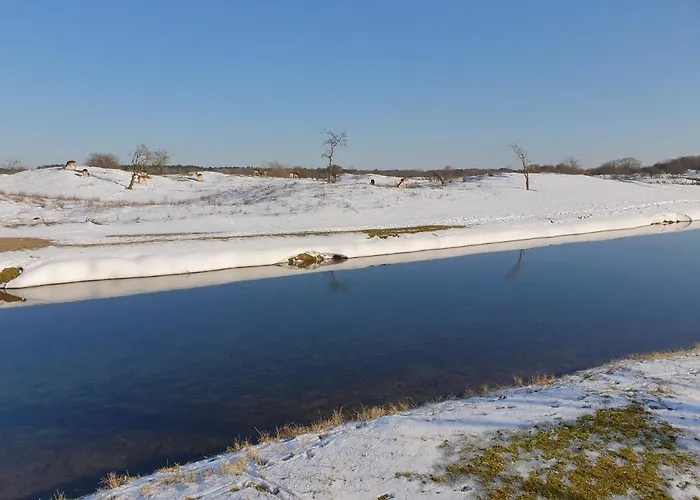 De Schelp 73 The Perfect Place! Lägenhet *